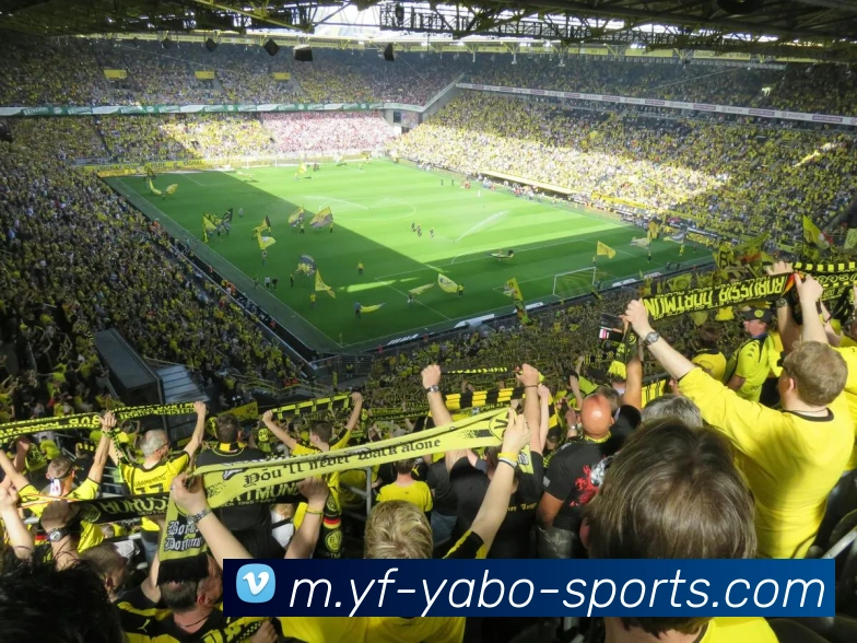 亚博体育服务体系